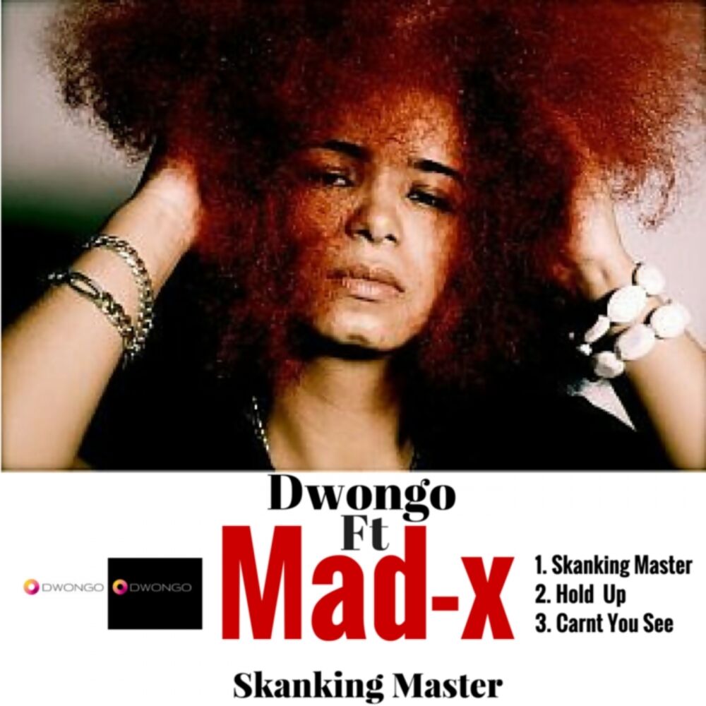 Picture of Skanking Master