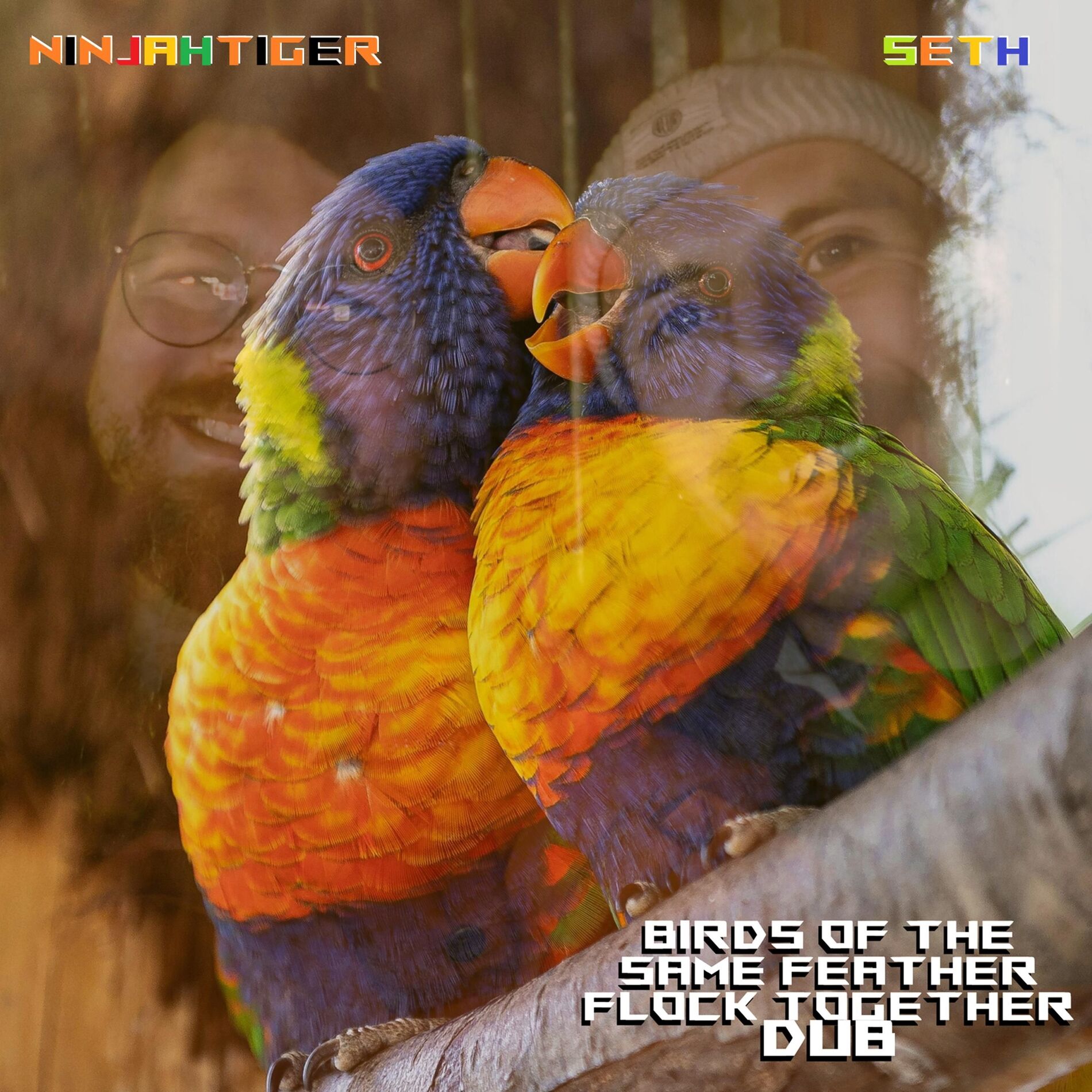 Album cover of Birds Of The Same Feather Flock Together Dub (feat. SETH)