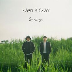 Cover of HAAN X Chan : Synergy