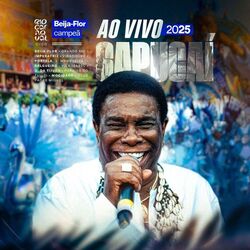 Cover of Sambas de Enredo Rio Carnaval 2025 (Ao Vivo)