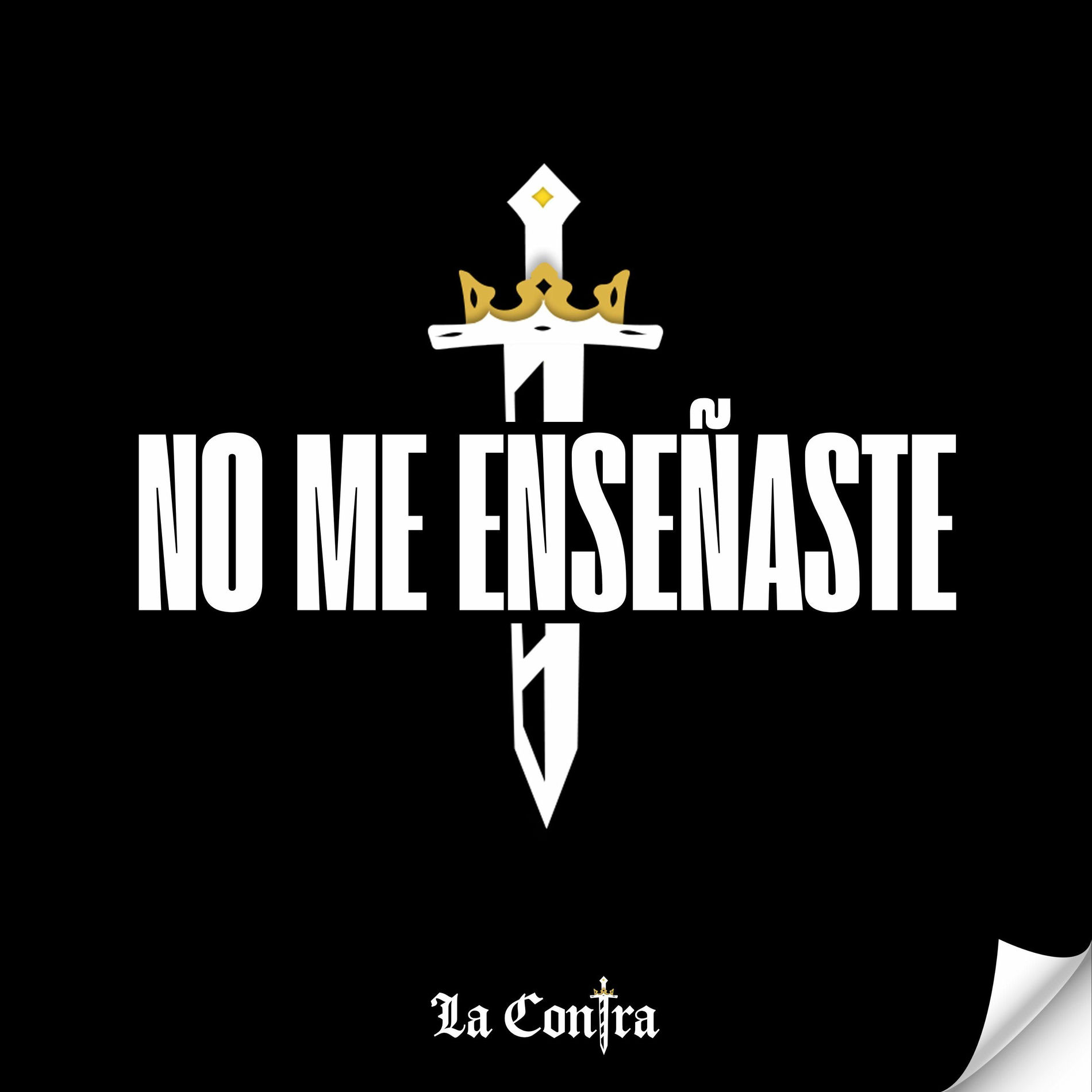 Album cover of No Me Enseñaste
