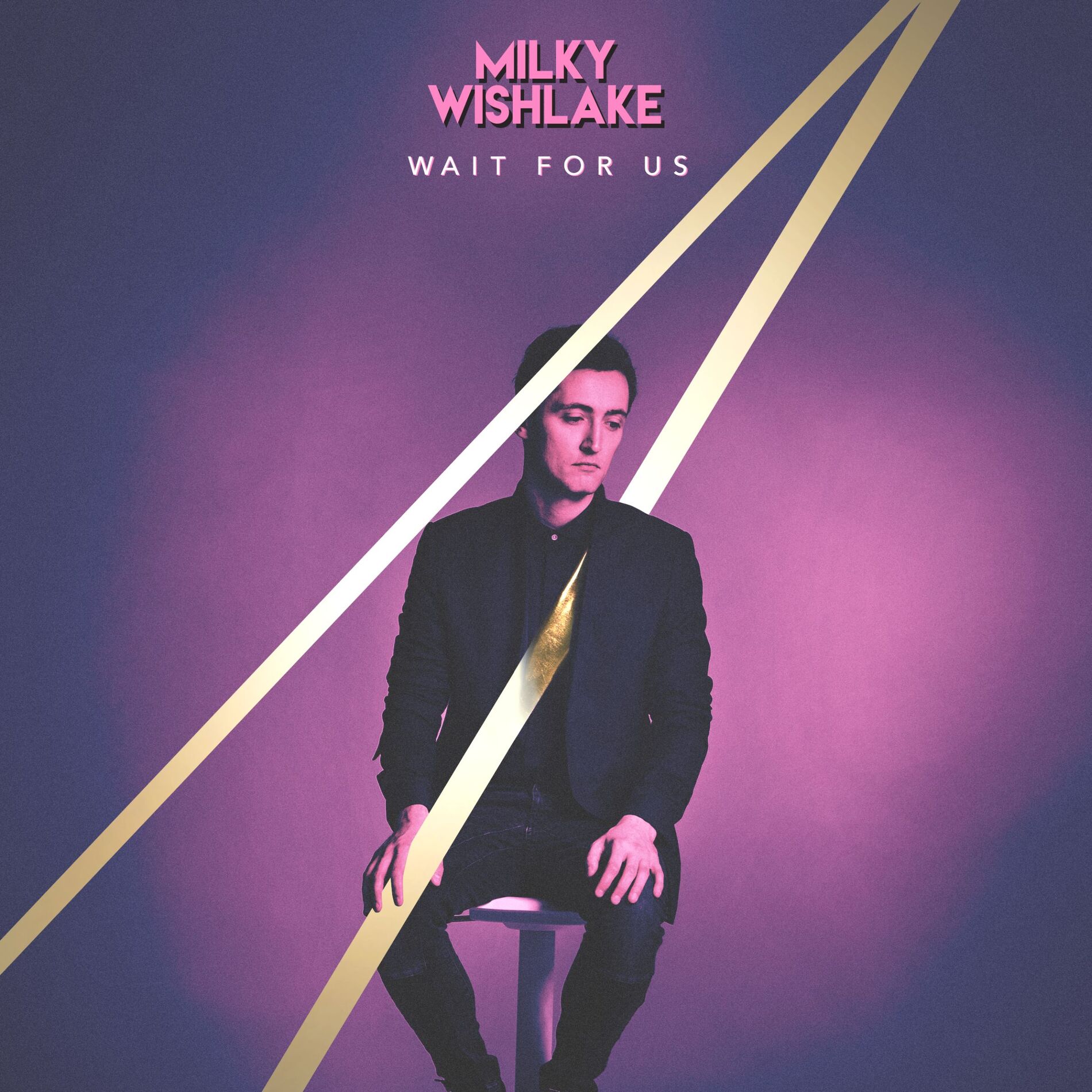 Album cover of Wait For Us