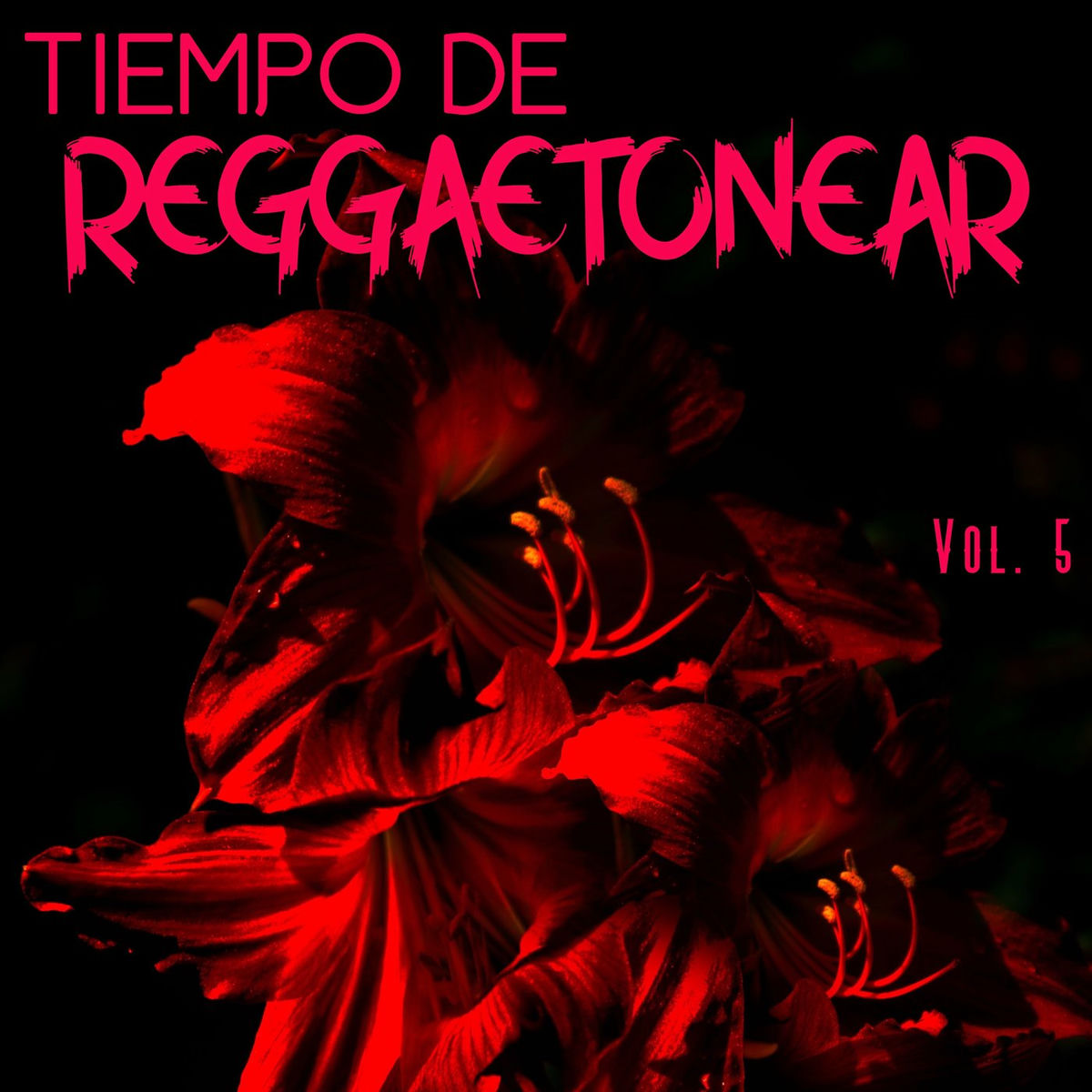 Album cover of Tiempo De Reggaetonear Vol. 5