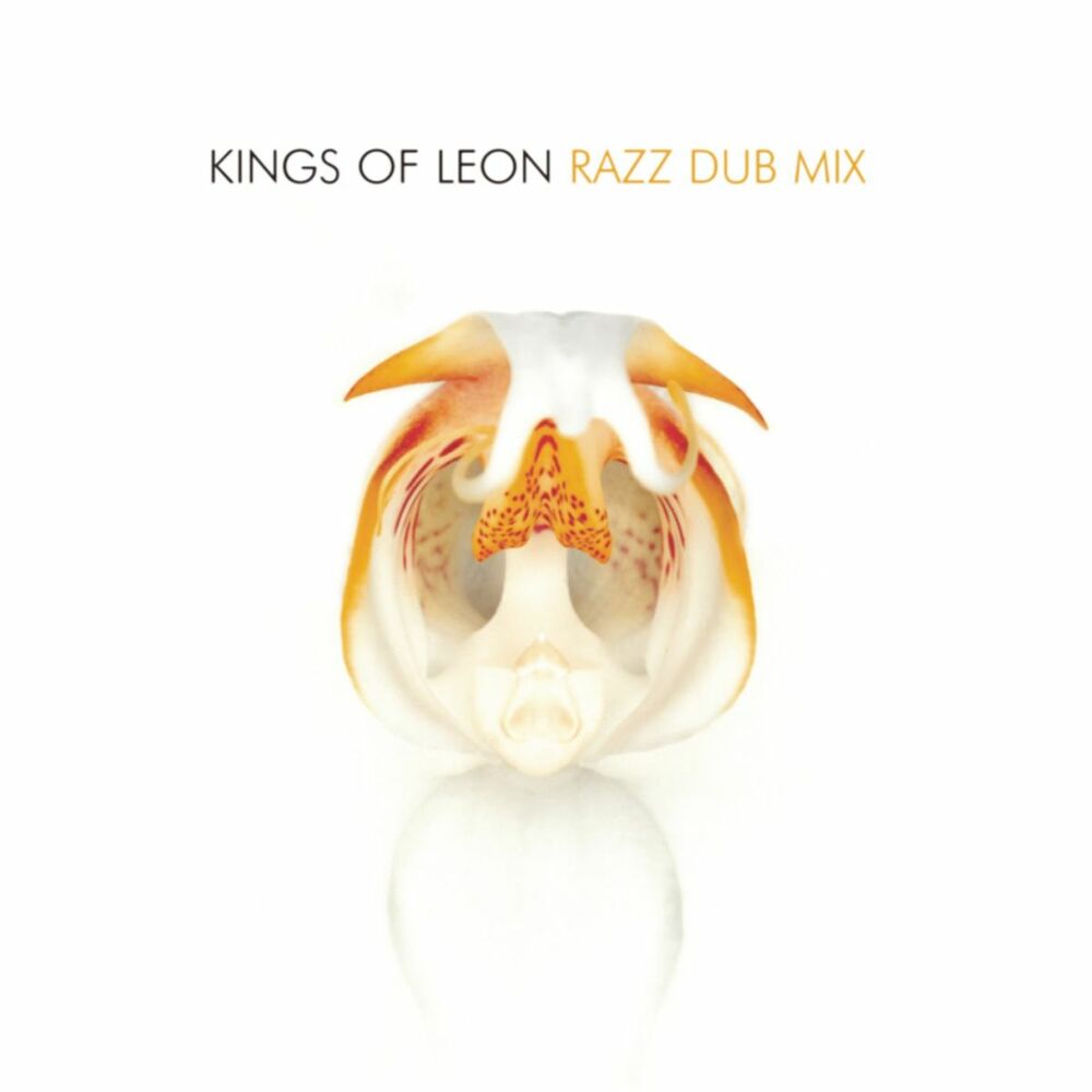 Picture of Razz (Dub Mix)