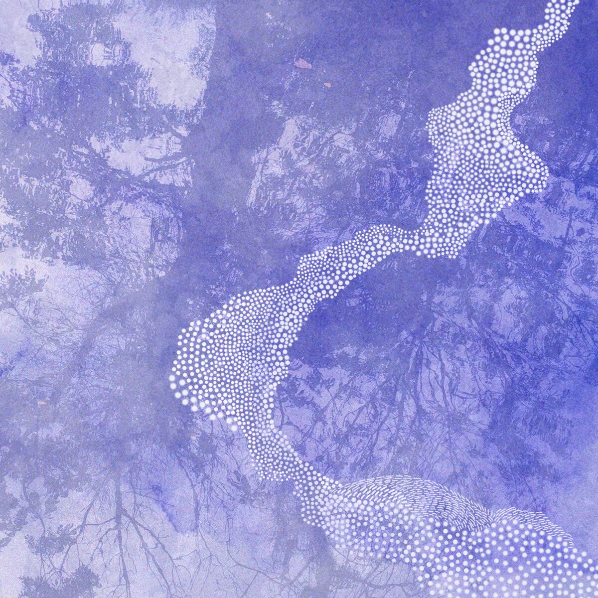 Album cover of Swans