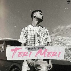 Cover of Teri Meri