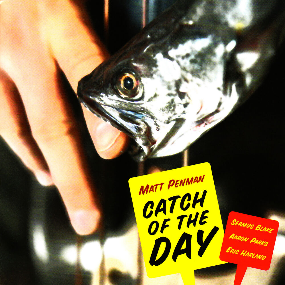 Picture of Catch of the Day