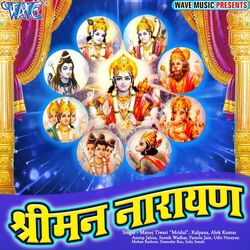 Cover of Shree Mann Narayan