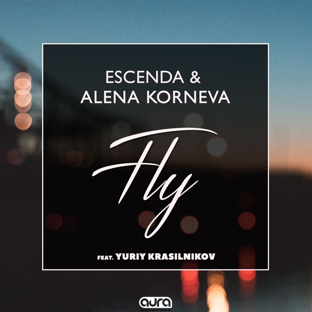 Picture of Fly