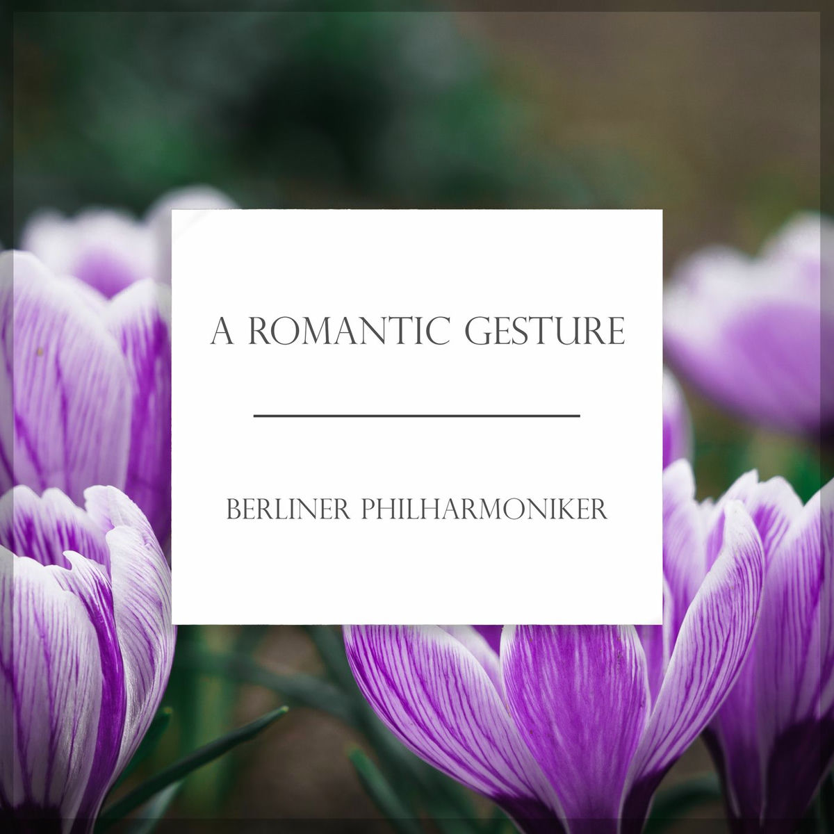 Album cover of Variations on a Rococo Theme, Op. 33 : Tchaikovsky: Variations on a Rococo Theme, Op. 33: Theme. Moderato semplice