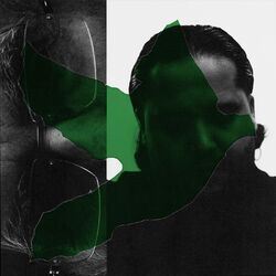 Cover of Vårsøg