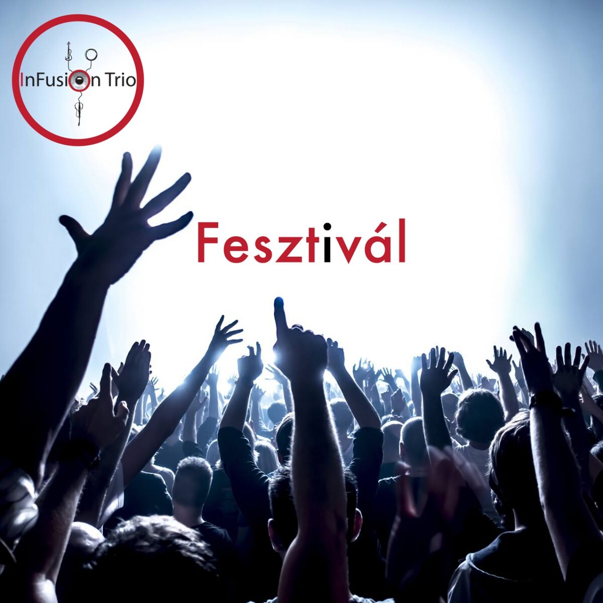 Album cover of Fesztivál