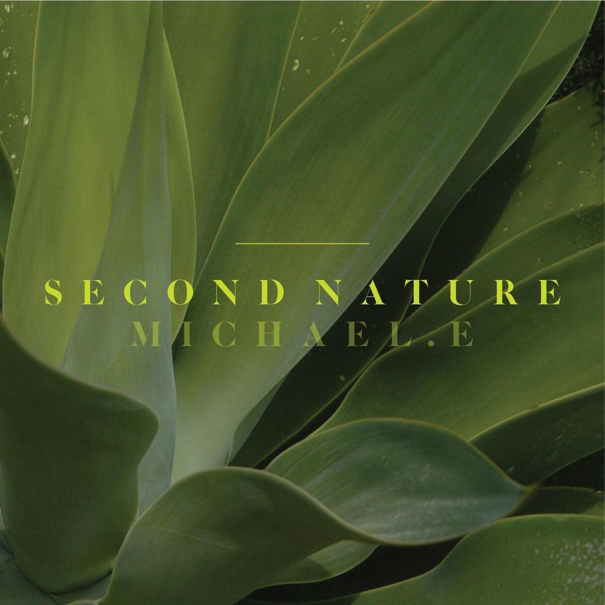 Album cover of Second Nature