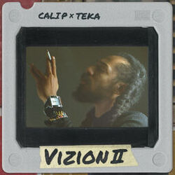 Cover of Vizion II