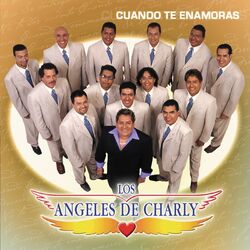 Cover of Cuando Te Enamoras