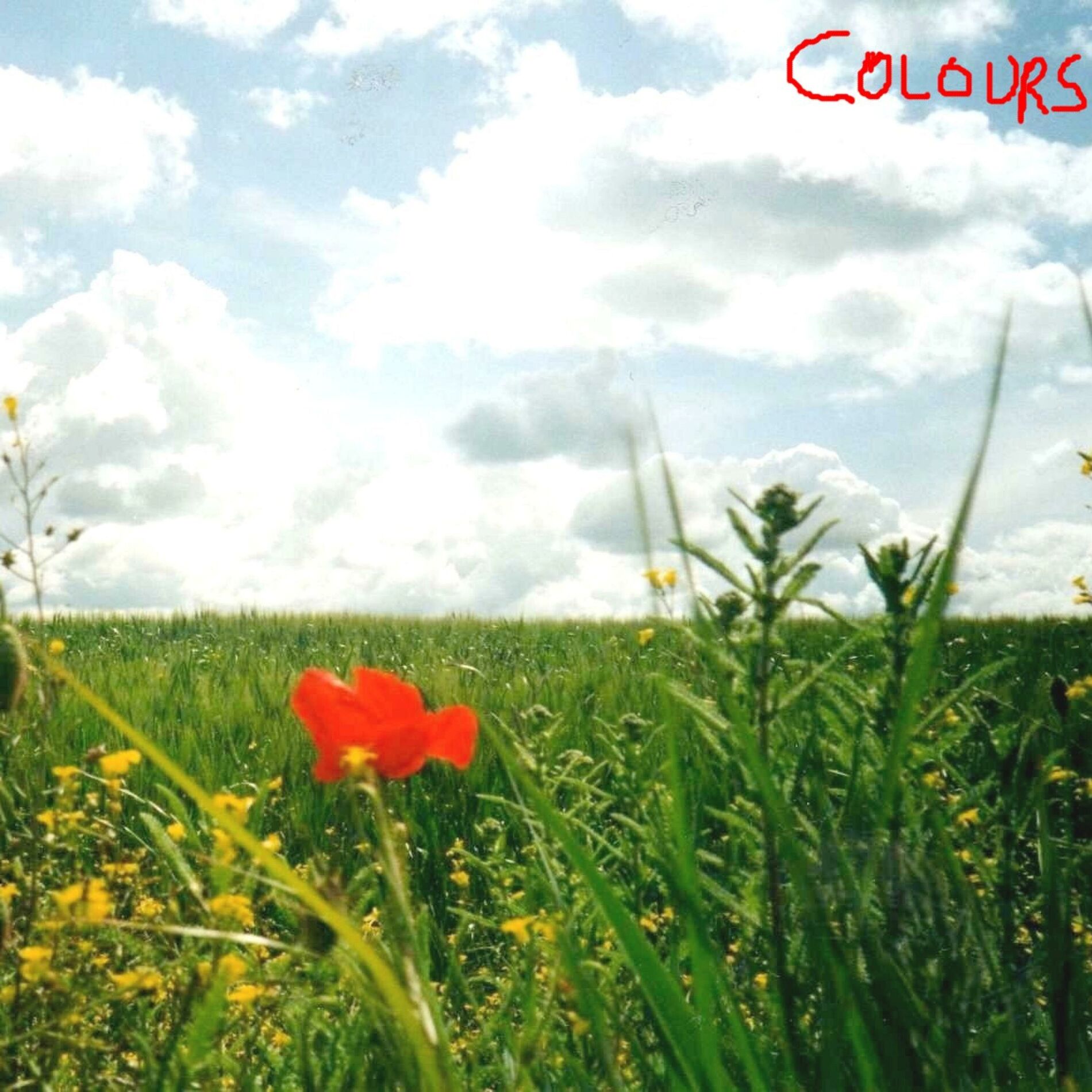 Album cover of Colours
