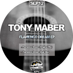 Cover of Flamenco Dream