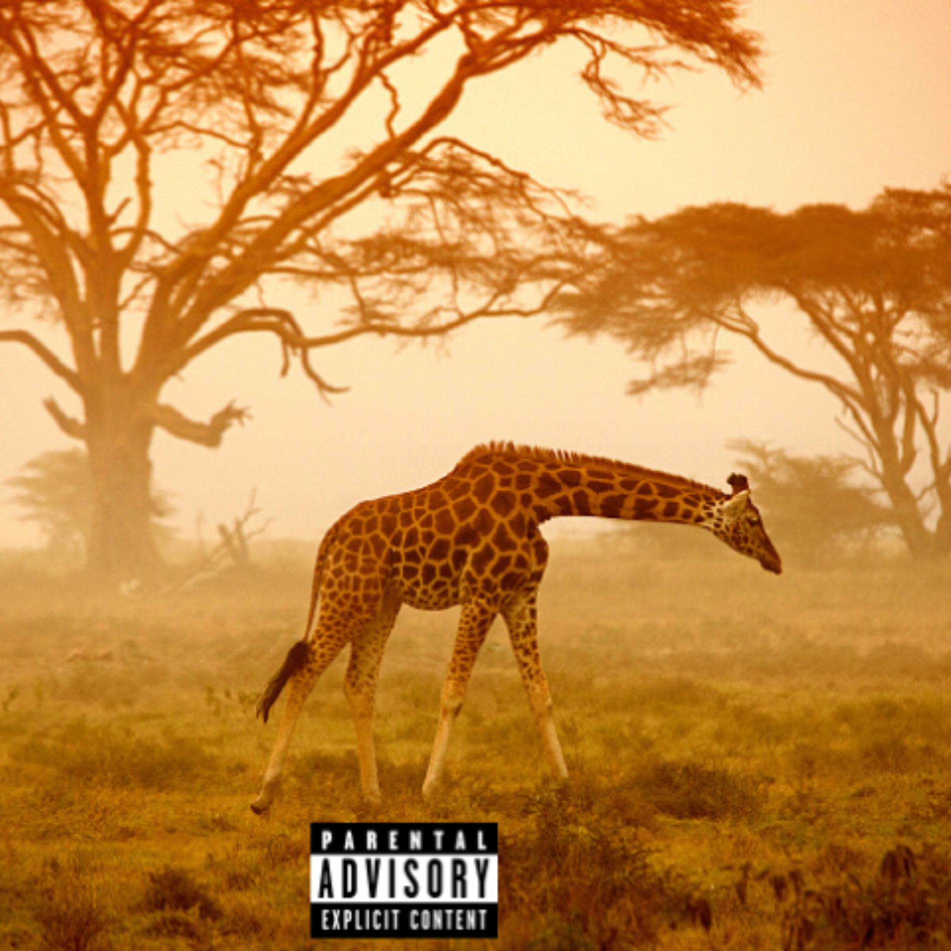 Album cover of Selvagem (Remix)