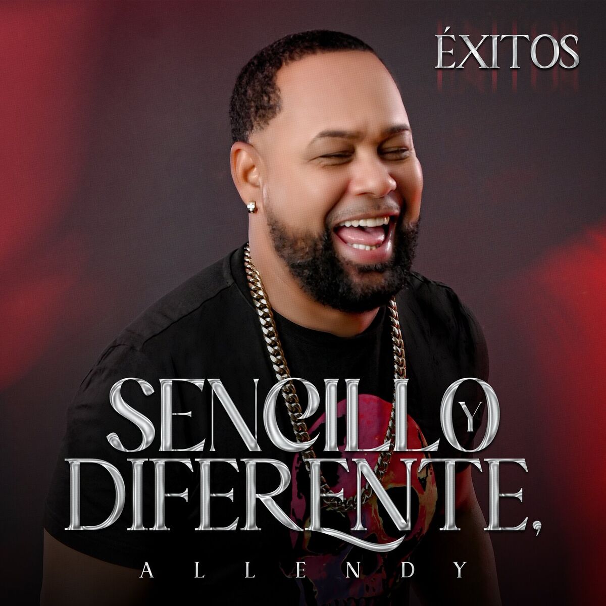 Album cover of Sencillo y Diferente, Allendy (Éxitos)