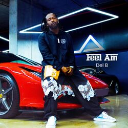 Cover of Feel Am