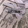 Secteur 17