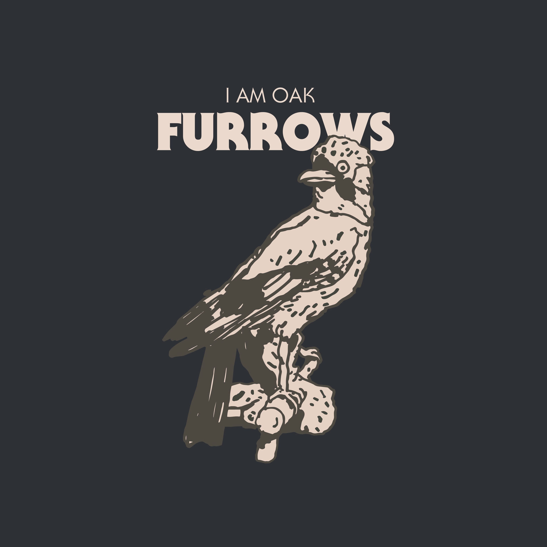 Album cover of Furrows