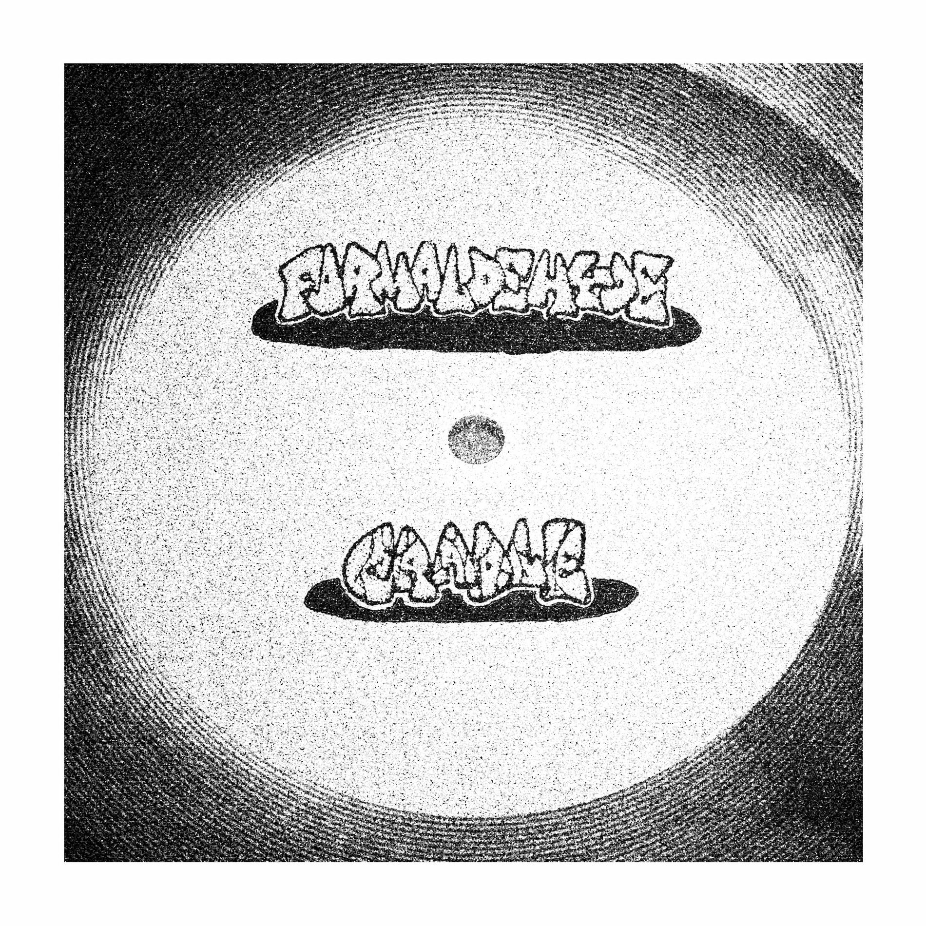 Album cover of Formaldehyde LP
