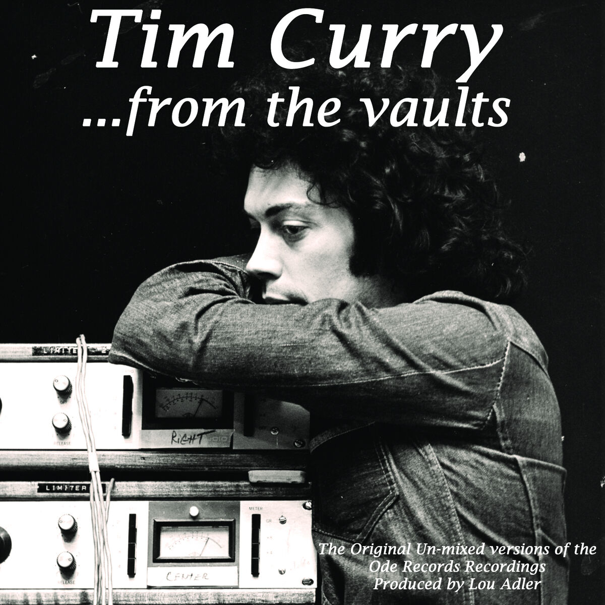 Album cover of ...from the vaults