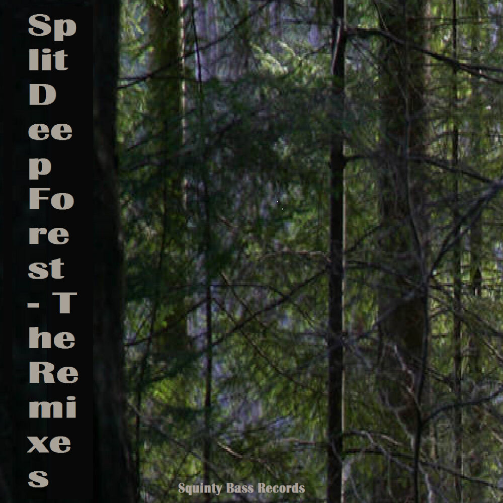 Picture of Deep Forest