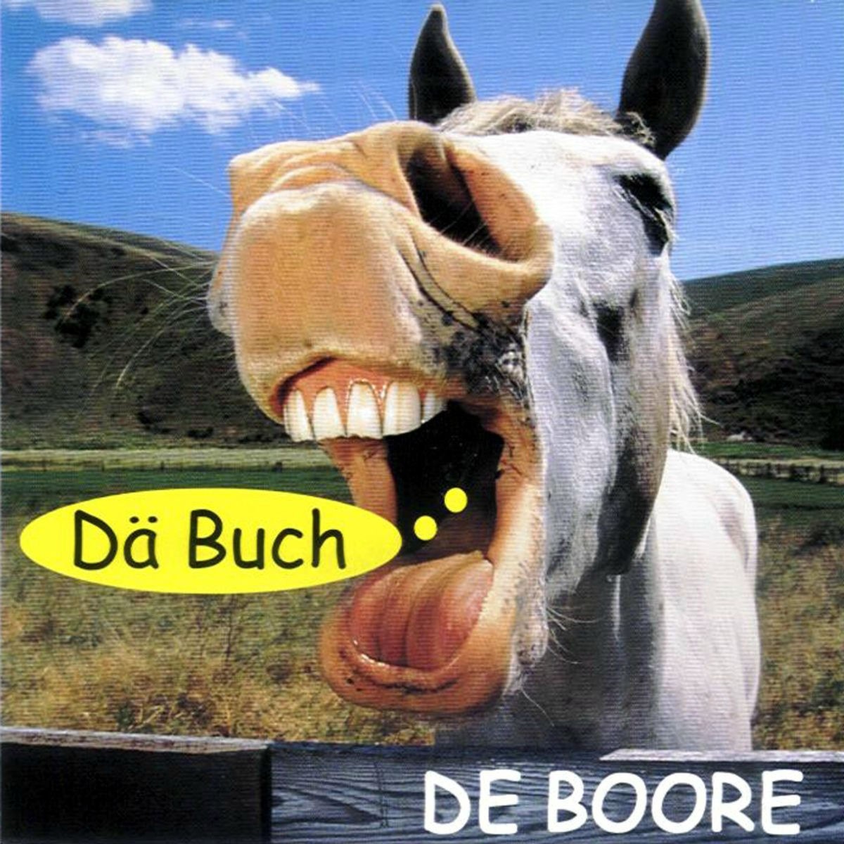 Album cover of Dä Buch