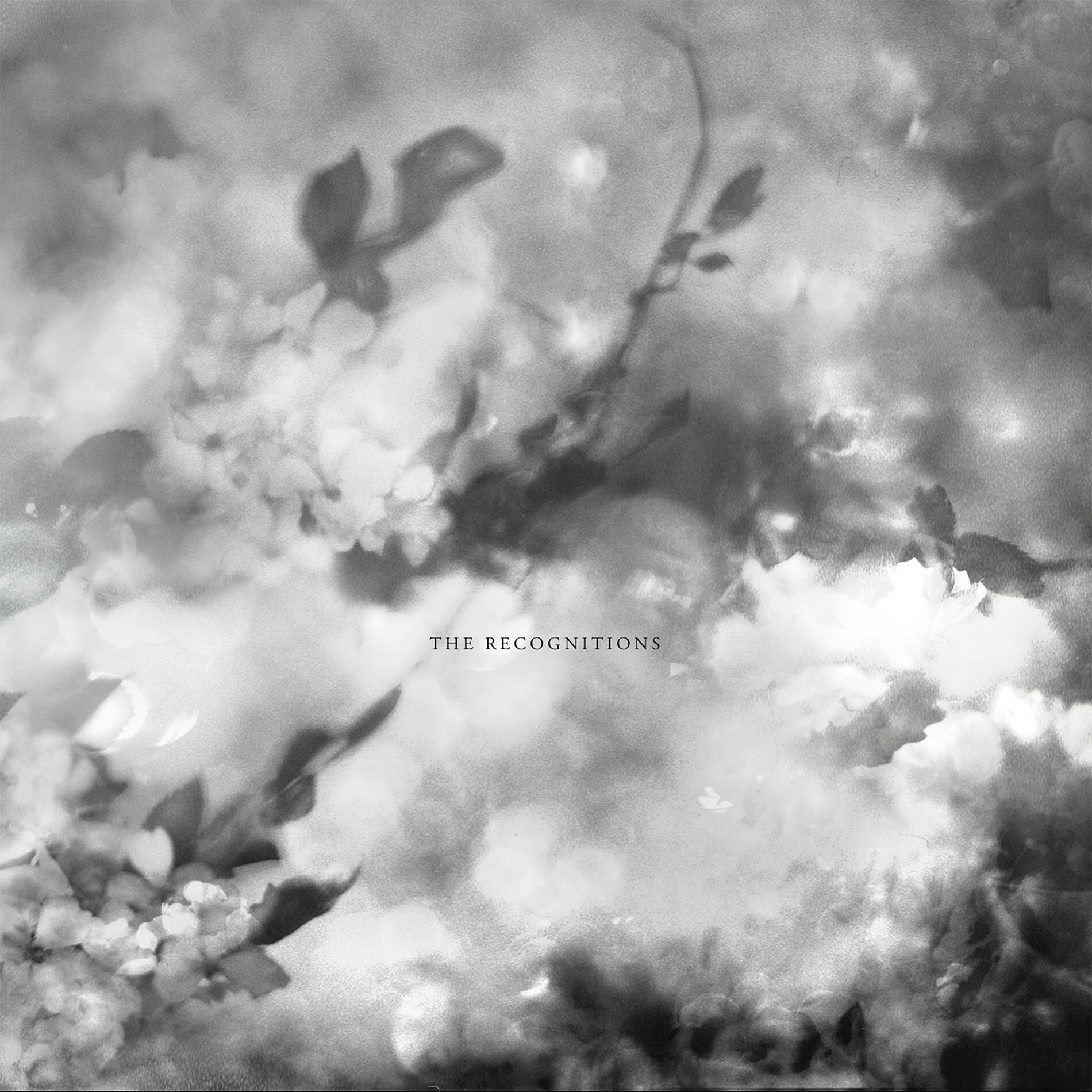 Album cover of To the Depths