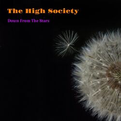 Cover of Down from the Stars
