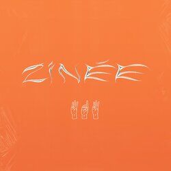 Cover of 313
