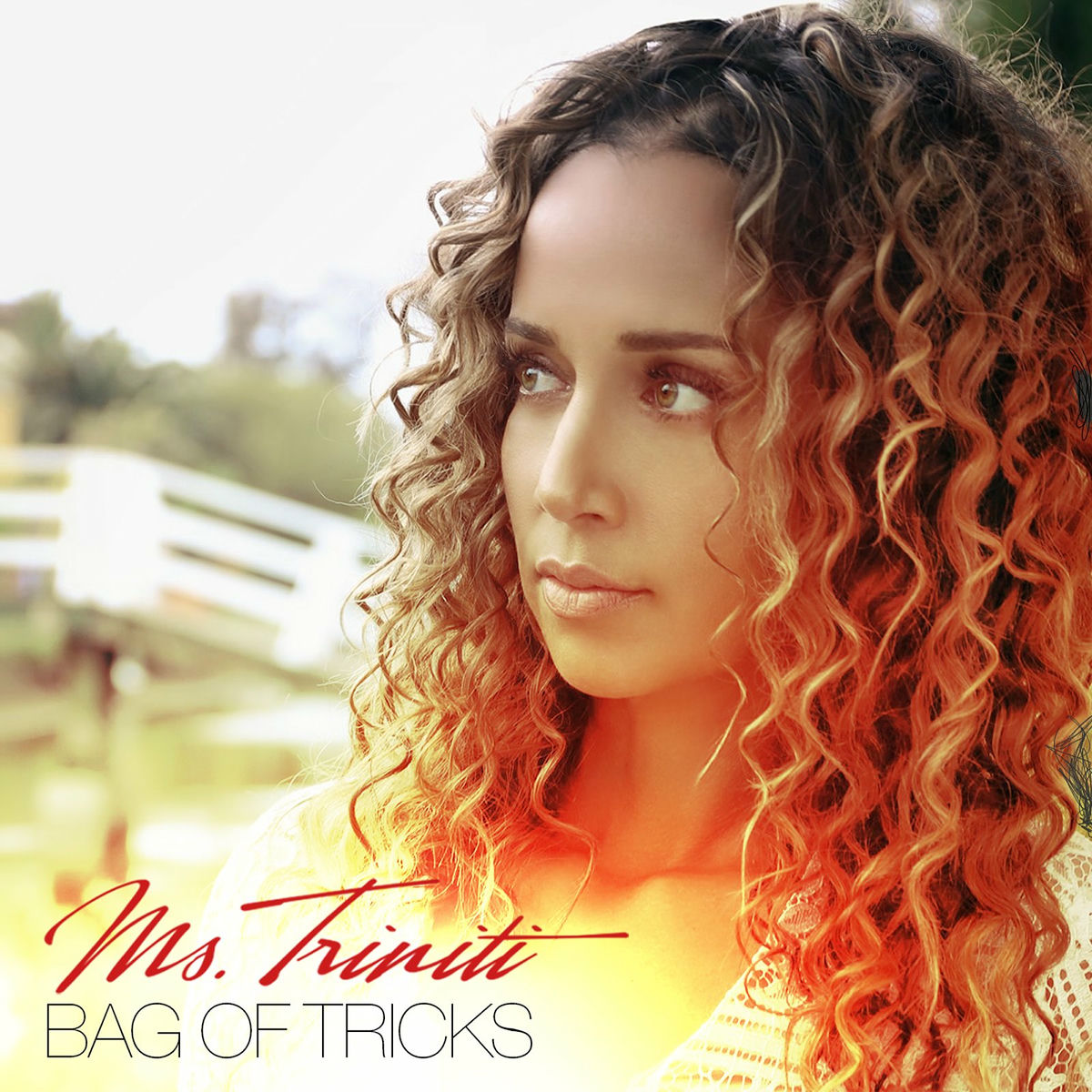 Album cover of Bag of Tricks