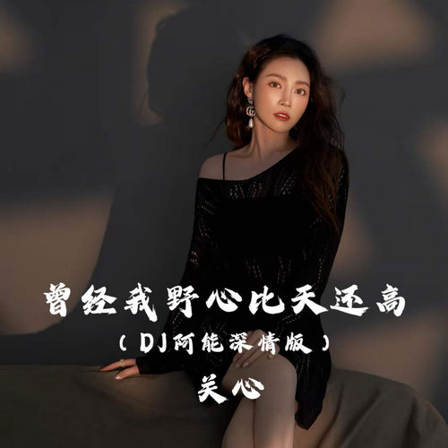 曾经我野心比天高 (DJ阿能深情版)