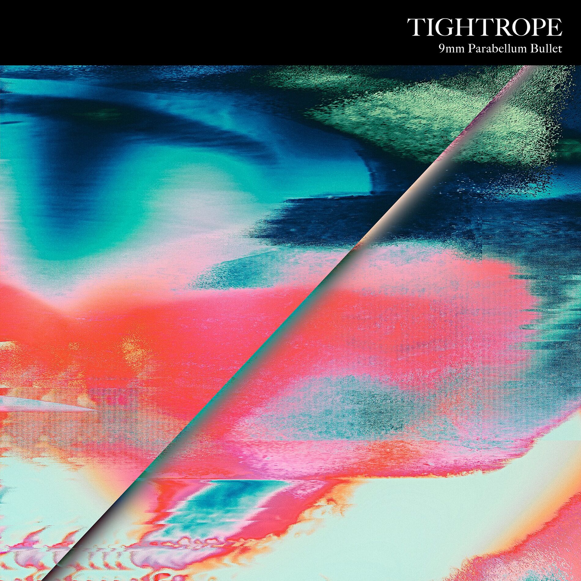 Album cover of Tightrope