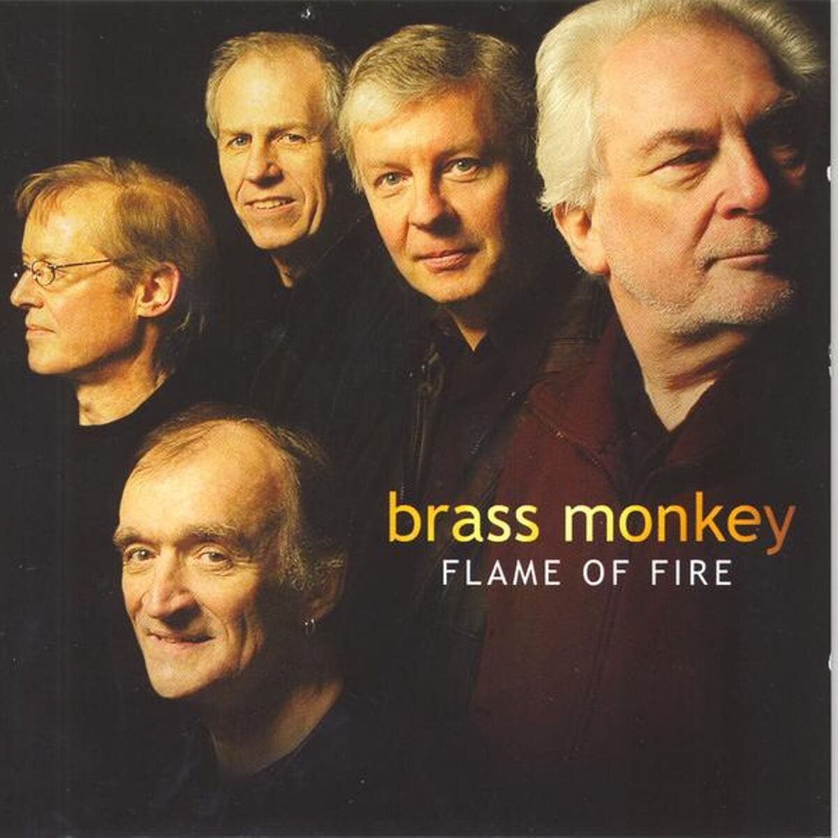 Album cover of Flame of Fire