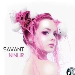 Cover of Ninur