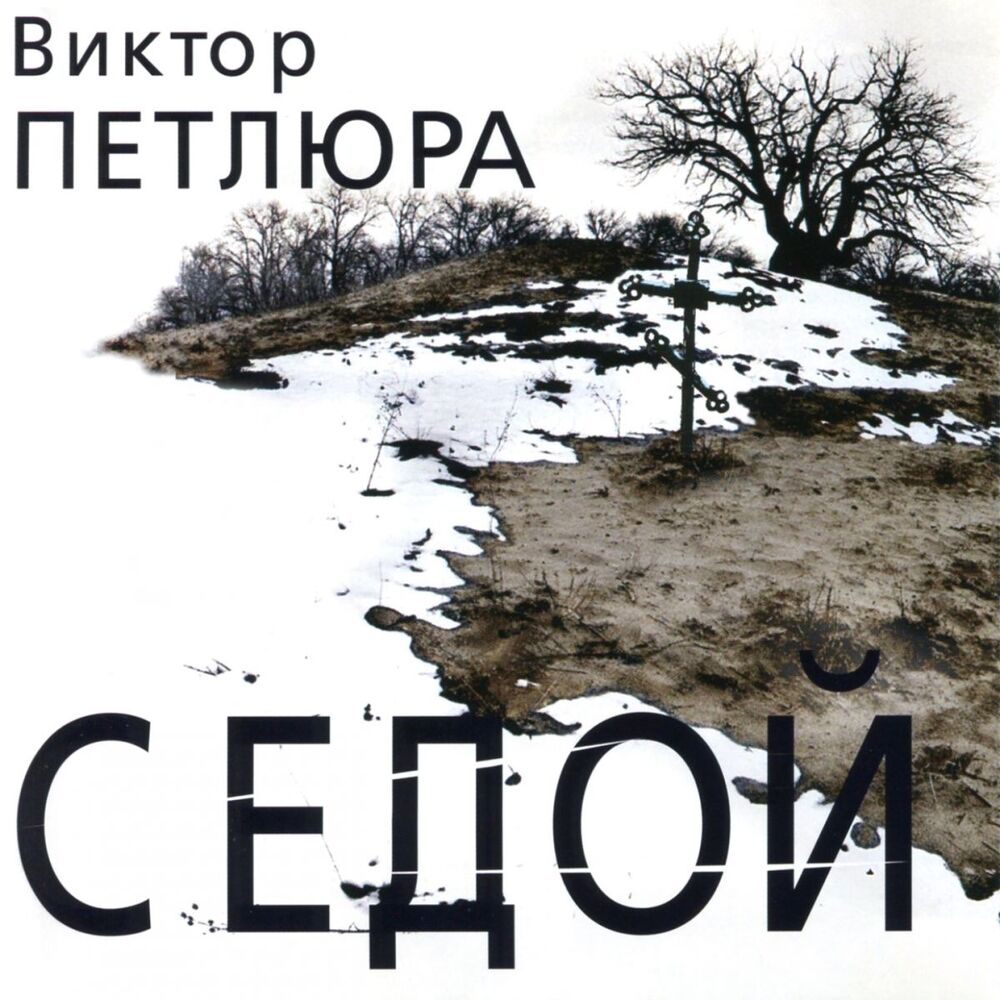 Picture of Седой