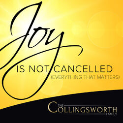 Cover of Joy Is Not Cancelled (Everything That Matters)