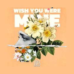 Cover of Wish You Were Mine