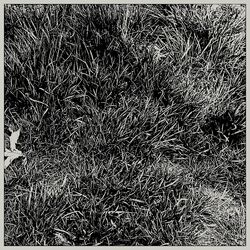 Cover of Isola (Alt. Version)