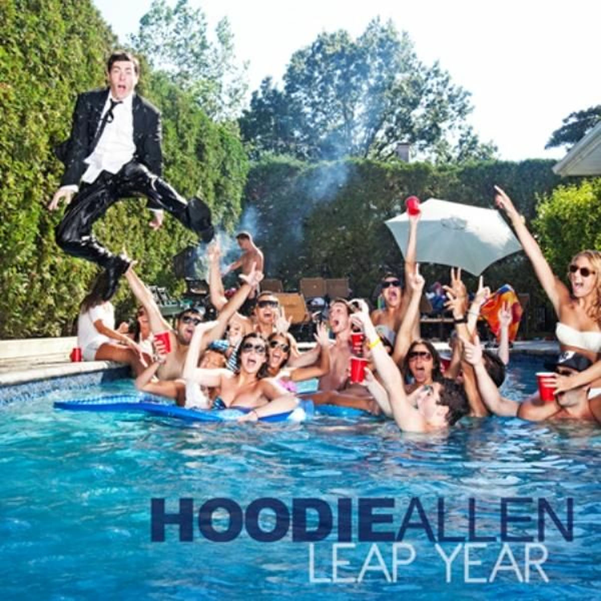 Album cover of Leap Year