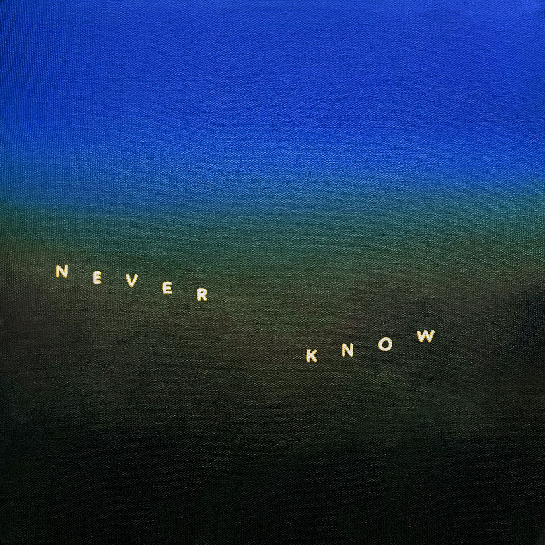 Album cover of Never Know