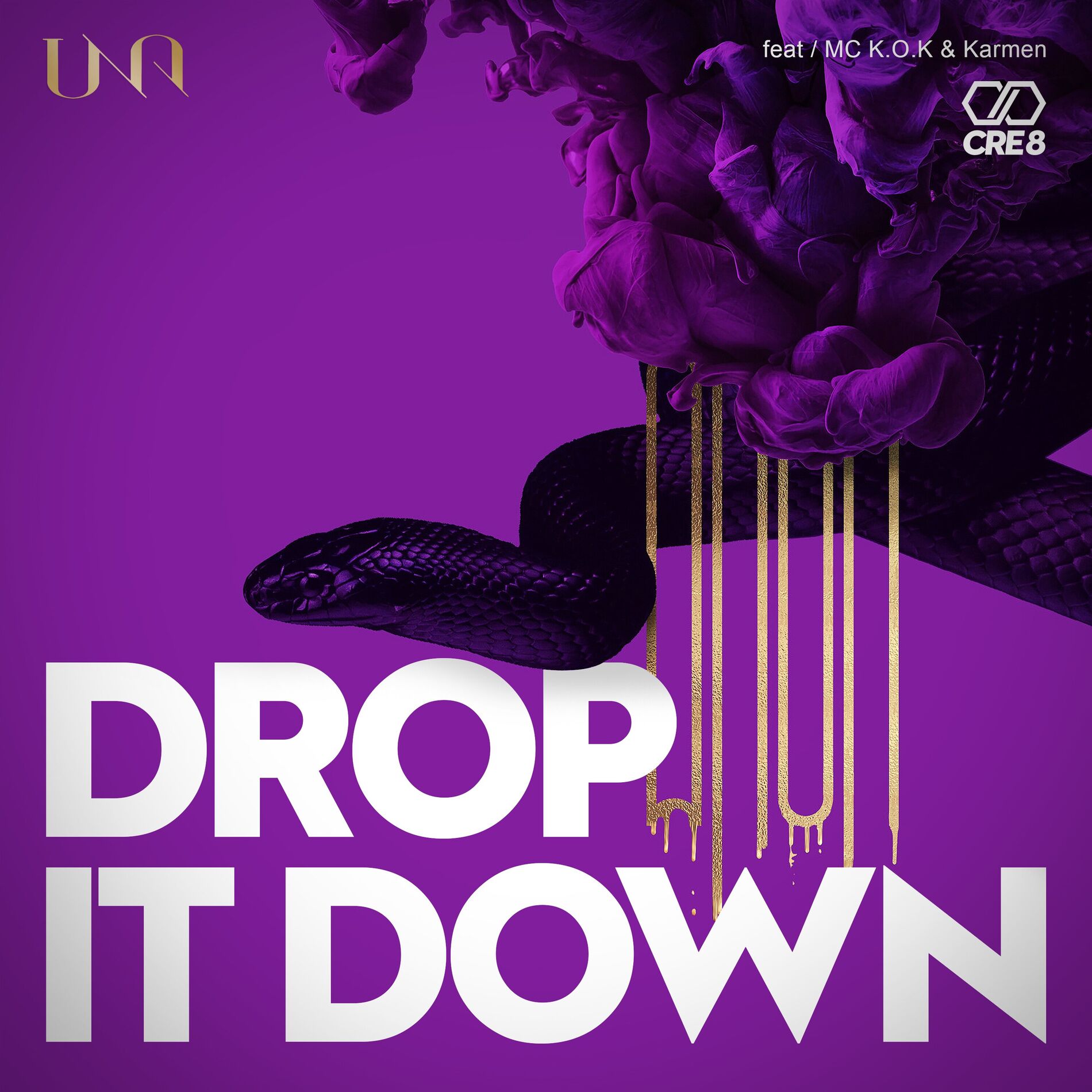 Album cover of Drop It Down