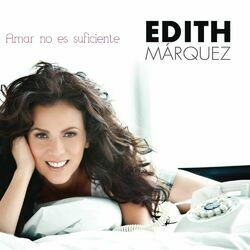 Cover of Amar No Es Suficiente