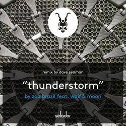 Cover of Thunderstorm