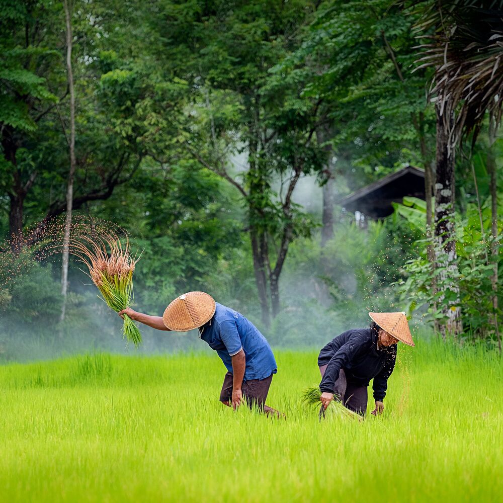 Picture of Meditative Rain: A Binaural Journey for Inspired Work