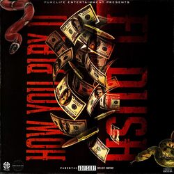 Cover of How You Play It
