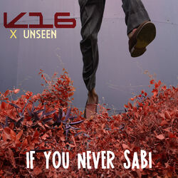 Cover of If You Never Sabi